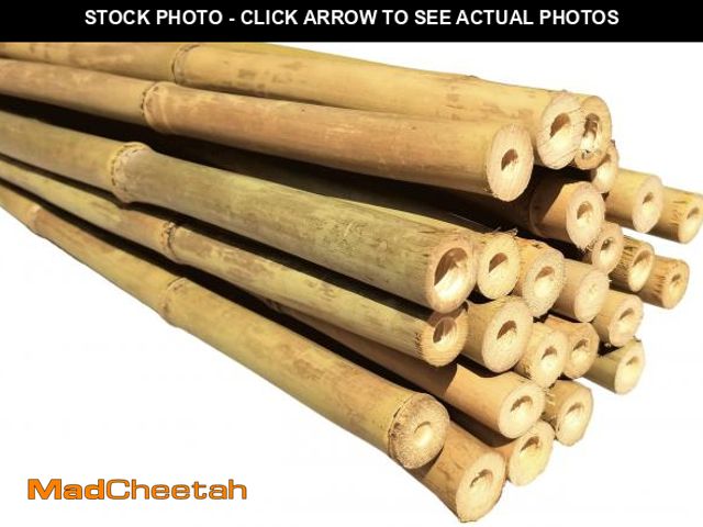 Lot 74-12130785 - Dlh Western Natural Bamboo Poles, Eco-Friendly Plant Support Garden Stakes 6ft Long, Diameter of 5/8...