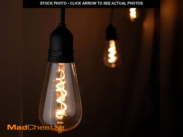 Lot 74-12557268 - Hampton Bay 12-Light 24 ft. Outdoor/Indoor Black Plug-in ST64 Novelty Bulb LED String Light - UNUSED