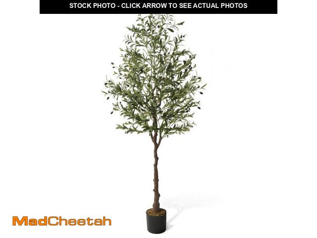 Lot 74-12511585 - CAPHAUS Artificial Olive Tree, 5 / 6 / 7 Feet Fake Potted Topiary Tree with Dried Moss, Faux Olive B...