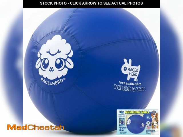 Lot 74-13964689 - Race&amp;Herd 22" Original XXL Herding Ball for Dogs - Herding Toys, Giant Dog Ball for Australian S...