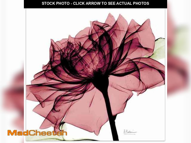 Lot 74-13770634 - Empire Art Direct "Chianti Rose I" Frameless Free Floating Tempered Glass Panel Graphic Wall Art - U...