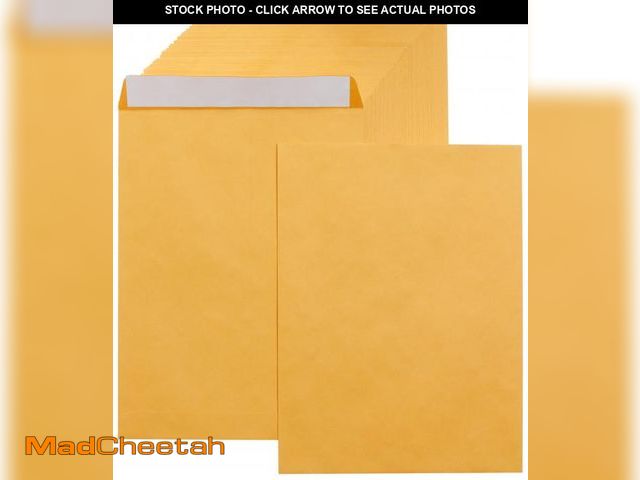 Lot 74-11546929 - Basics Catalog Mailing Envelopes, Peel and Seal, 9x12 Inch, Brown Kraft, 250-Pack - UNUSED
