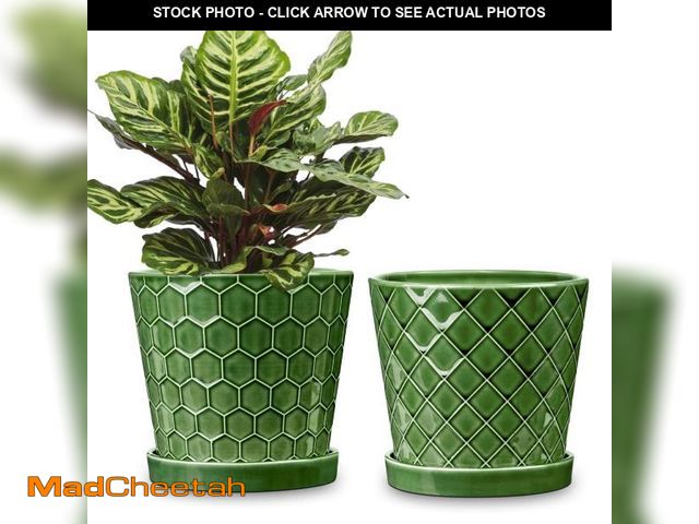 Lot 74-12304550 - BUYMAX Plant Pots Indoor Ã¢â¬â6 inch Ceramic Flower Pot with Drainage Hole and Ceramic Tray - Gar...
