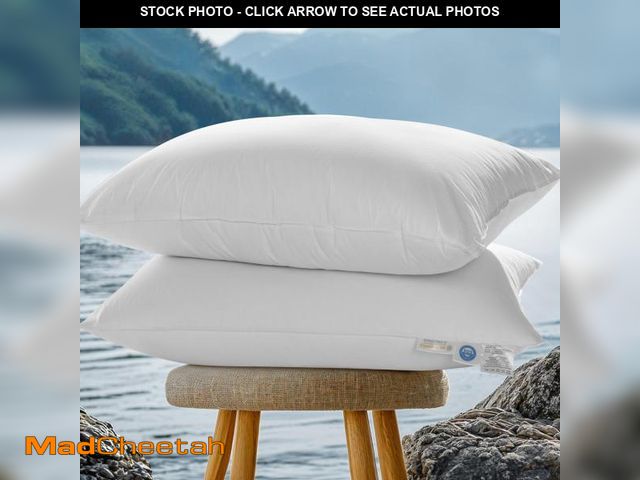 Lot 74-12220055 - REDASW Canadian Luxurios Goose Down Pillows 80% Down 20% Feather 900 Fill Power with 100% Cotton Pil...