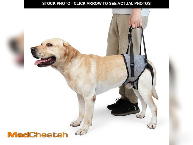 Lot 74-12711251 - Dotoner Dog Sling for Large Dogs Hind Leg Support to Help Rehabilitate The Hind Limbs of Elderly Dog...