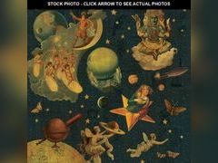 Lot 74-13326412 - undefined