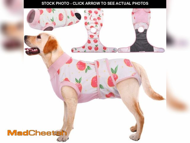 Lot 74-14428313 - Kuoser Recovery Suit for Dogs Cats, Soft Dog Surgery Suit Female Male Spay - USED