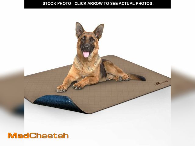 Lot 74-14212308 - Paw Inspired Washable Pee Pads for Dogs, Leakproof, Non-Slip Reusable Puppy Pads for Potty Training,...