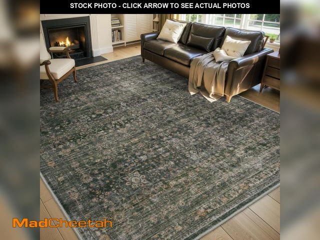 Lot 74-11553852 - MontVoo-Vintage Area Rug 5X7 Green Rugs for Living Room-Soft Distressed Printed Rugs for Bedroom-Non...