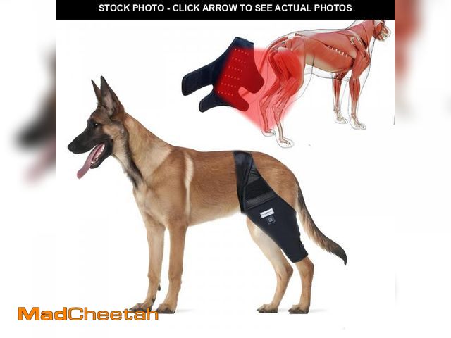 Lot 74-12315126 - WENQUSEN Dog Acl Brace Hind Leg Ã¢â¬â Red Light Therapy for Dogs Professional Edition Dog Knee Br...