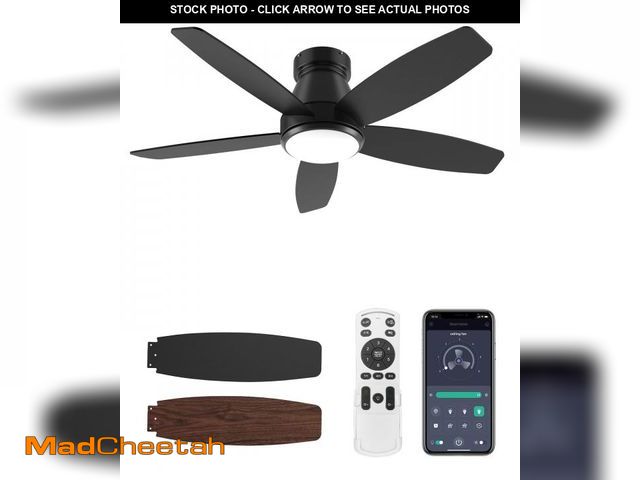 Lot 74-12177714 - BWGZH Ceiling Fans with Lights and Remote ControlÃ¢ËÂ©Ã¢â¢ÂÃÂ®42 Inch Flush Mount Ceiling Fan wi...