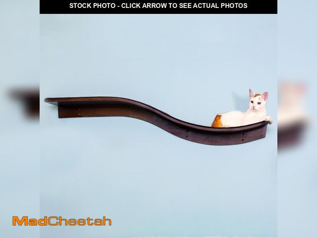 Lot 74-12160952 - THE REFINED FELINE 60 Inch Lotus Branch Cat Shelf in Brown Mahogany with Replaceable Carpet, Playing...
