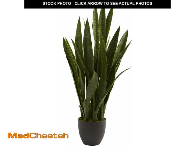 Lot 74-14068279 - Nearly Natural 35in Artificial Snake Plant, Sansevieria Faux Greenery with Black Planter for Indoor ...