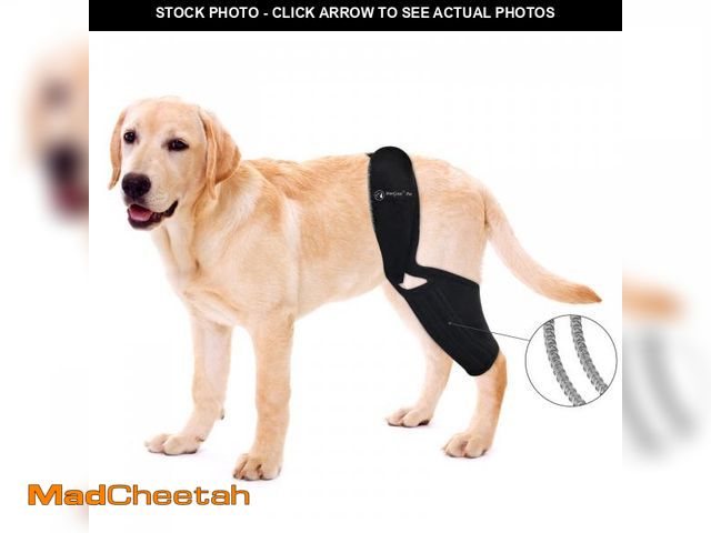 Lot 74-12111713 - BaoGuai Knee Brace for Dogs ACL with Side Stabilizers,Knee Cap Dislocation, Arthritis - Keeps The Jo...
