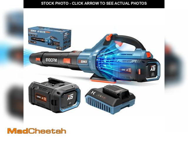 Lot 74-12780905 - SENIX X6 60V Max* Brushless Cordless Leaf Blower with 4.0 Ah Battery and Charger, Variable Speed Up ...