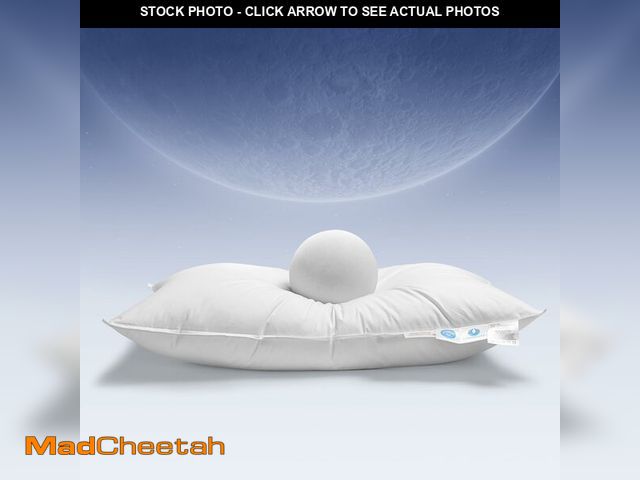 Lot 74-14382466 - LIANLAM Canadian White Goose Down Pillow Standard Size - 750+ Fill Power, 800 Thread Count Cotton Sh...