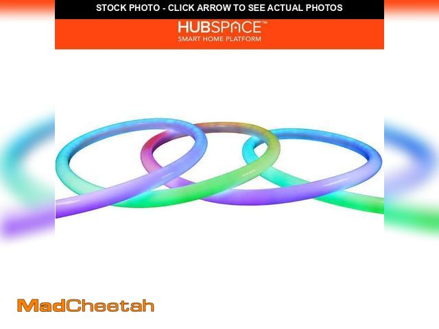 Lot 74-12745696 - EcoSmart 16.4 ft. Smart RGBWIC Dynamic Color Changing 360ÃÂ° Dimmable Plug-In LED Outdoor Rope Ligh...