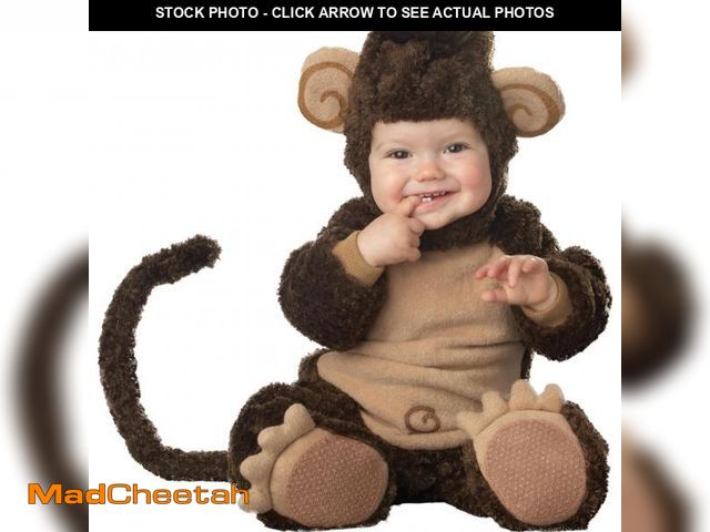 Lot 74-12308140 - InCharacter Costumes Baby's Lil' Monkey Costume, Brown/Tan, Medium (12-18 Months) - USED