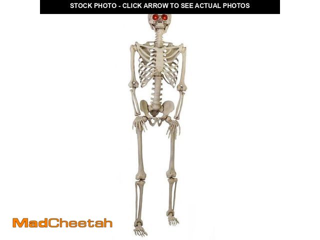 Lot 74-14278694 - Home Accents Holiday 5 ft. Poseable Skeleton with LED Illumination - UNUSED