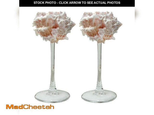 Lot 74-13543434 - GKWW 2Pcs Seashell Wine Glasses Wedding Wine Glasses Conch Goblet Martini Cocktail Glass Cup for Bir...