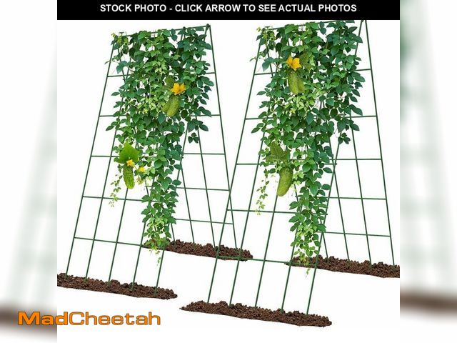 Lot 74-14251266 - UrGROWA Cucumber Trellis 2 Pack, Foldable A-Frame Garden Trellis for Raised Bed Garden Grow Support ...