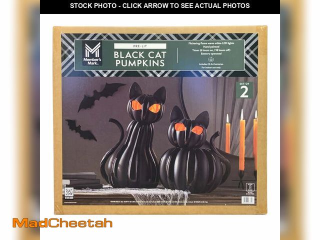 Lot 74-12857104 - (ONE IS BROKEN) Member's Mark Pre-Lit Black Cat Pumpkins, Set of 2, Warm White Flickering LEDs - USE...