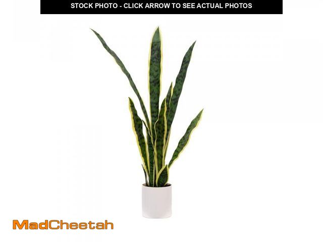 Lot 74-12528605 - Mainstays 30"H Artificial Indoor Snake Plant in a Vanilla Plant Container - UNUSED