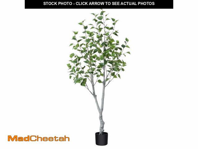 Lot 74-12781122 - 5ft Fake Plastic Betula Tree in Pot, Pre Potted Faux Greenry Plant for Home Decor Office House Livin...