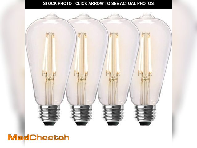 Lot 74-12675274 - Feit Electric 60-Watt Equivalent ST19 Dimmable Straight Filament Clear Glass E26 Vintage Edison LED ...