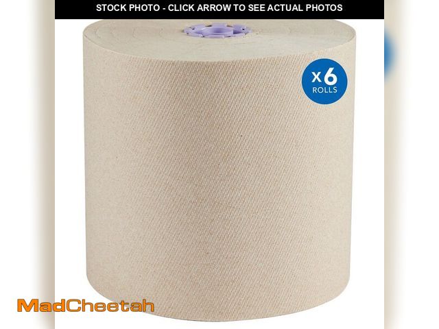 Lot 74-14080611 - Scott Professional Essential 100% Recycled Hard Roll Paper Towels, Bulk (54038), Hardwound, Absorben...