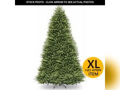 Lot 74-12952113 - undefined