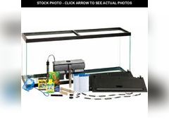 Lot 74-12787194 - undefined