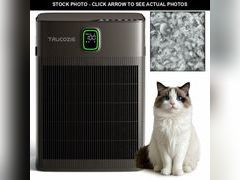 Lot 74-13564391 - undefined