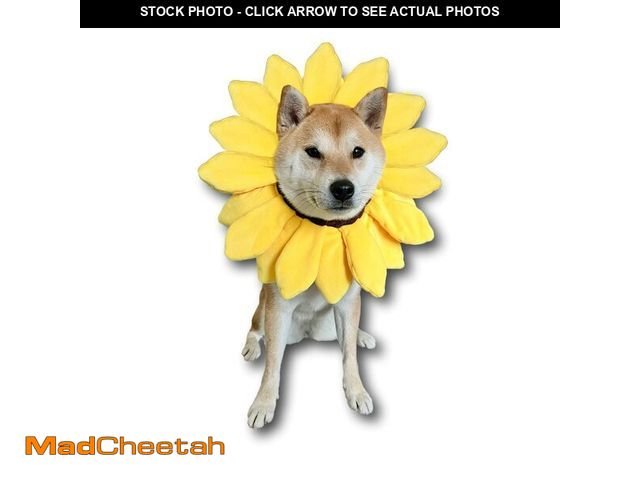 Lot 74-14046408 - ComfyCamper Sunflower Dog Costume for Small Medium Large Dog Puppy Puppies Cat Kitten Ã¢â¬â Cute ...