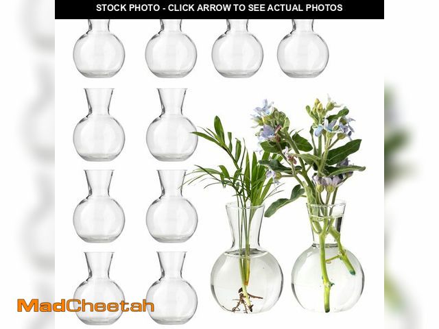 Lot 74-14212482 - Plastic Propagation Vases (12 Bulbs),Desktop Plant Terrarium for Indoor Plants - Hydroponics Contain...