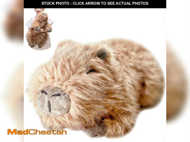 Lot 74-12221843 - uoozii 20" | 4 Pounds Capybara Weighted Stuffed Animals with Removable Unscented Microwavable Pouch,...
