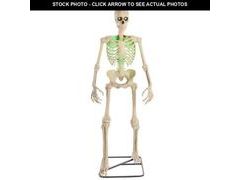 Lot 74-12892604 - undefined