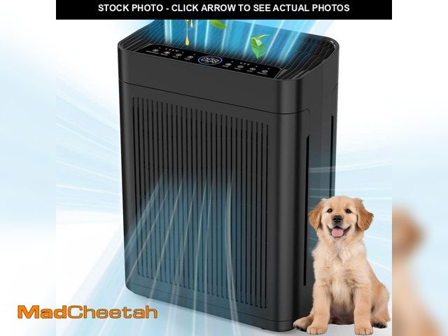 Lot 74-13691686 - Edendirect 3000 sq. ft. Black HEPA Personal Room Air Purifier with Smart Controls and Whisper-Quiet,...