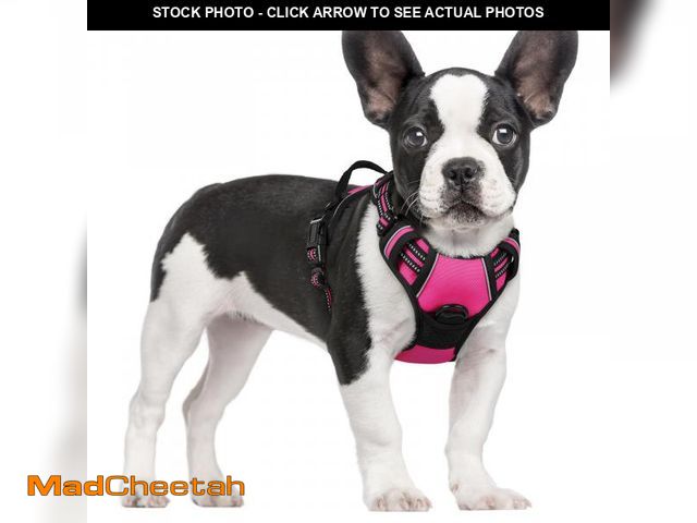 Lot 74-12219970 - rabbitgoo Dog Harness No Pull with 2 Leash Clips, Adjustable Soft Padded, Reflective Oxford No Choke...