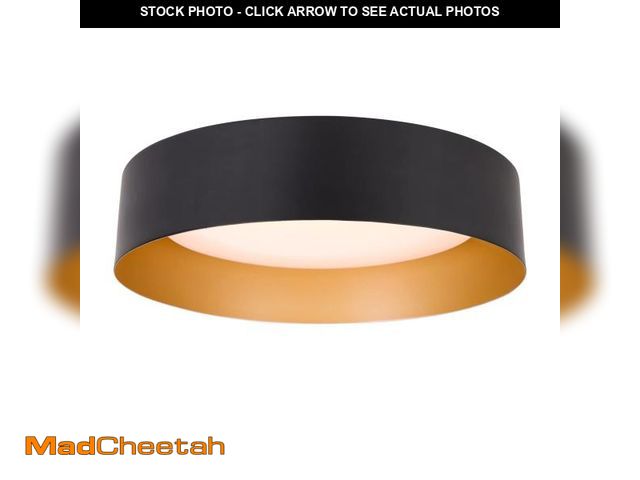Lot 74-12047811 - Bargeni Flush Mount Ceiling Light,12.5 inch LED Ceiling Light Fixture,Matte Black with Gold Inside,3...