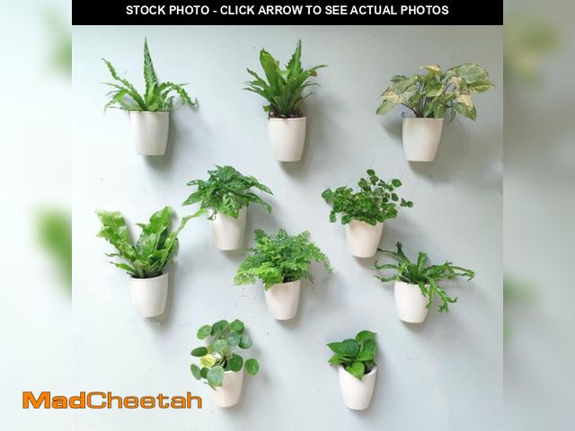 Lot 74-12528685 - LaLaGreen Wall Mounted Planters for Indoor Plants - 10 Pack, 5 Inch Self Watering Plastic Pot, Livin...