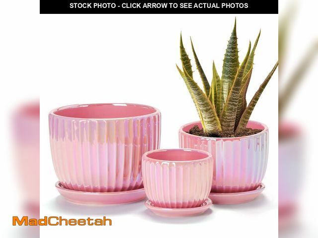 Lot 74-14153859 - Ton Sin Pink Gold Ceramic Flower Pots, 4"+5"+6" Inch Small Glazed Succulent Planters with Drainage H...