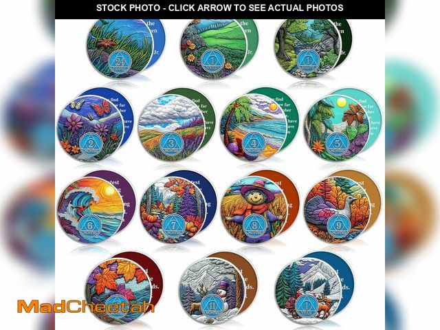 Lot 74-13622697 - Blueweenly 14 Pcs Aa Sobriety Coins Set - 24 Hour Newcomer &amp; 1-11 Month Recovery Chips Alcoholic...