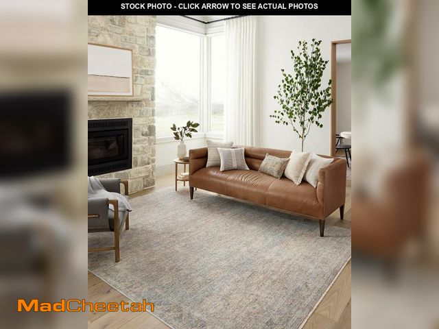Lot 74-12399167 - Loloi Angela Rose Blake Collection BLA-01 Sky/Beige 2'-0" x 3'-0", .25" Pile Height, Fringe, Accent ...