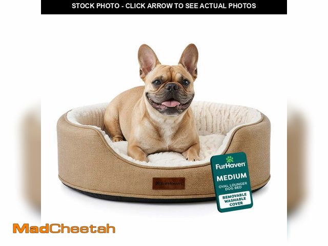 Lot 74-12860434 - (MISSING CUSHION ) Furhaven Pet Products Medium Foam Oval Lounger Dog &amp; Cat Bed With Reversible ...