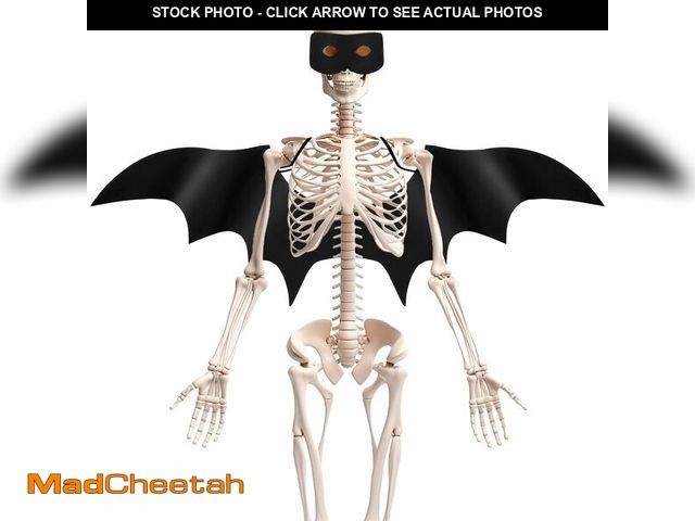 Lot 74-12864634 - Tarpop 2 Pcs Halloween 12 ft Skeleton Outfit Set Giant Skeleton Bat Costume Includes Clothes Bat Win...