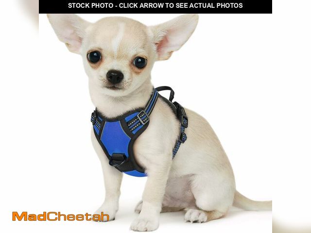 Lot 74-13542462 - Eagloo Small Dog Harness No Pull, Service Vest with Reflective Strips and Control Handle, Adjustable...
