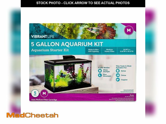 Lot 74-12862494 - Vibrant Life 5 Gallon Aquarium Starter Kit with Blue &amp; White LED Lights - USED