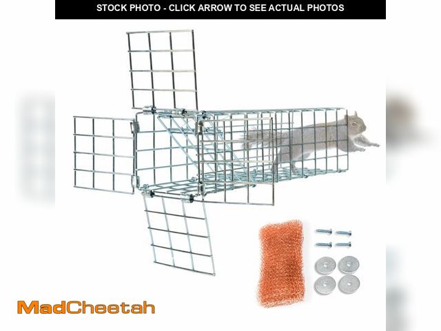 Lot 74-13960194 - Excluder One Way Squirrel and Rodent Trap - Control Mice, Rats, Bats, Squirrels and More - Fine Copp...