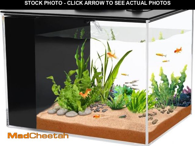 Lot 74-12323480 - AQUANEAT Fish Tank, 1 Gallon Betta Fish Tank, Small Aquarium Kit with LED Light and Water Filter Pum...